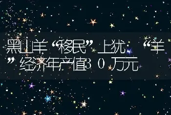 黑山羊“移民”上犹：“羊”经济年产值30万元