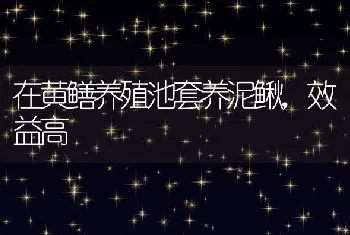 在黄鳝养殖池套养泥鳅，效益高