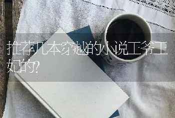 推荐几本穿越的小说王爷王妃的？