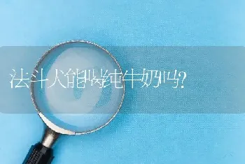 法斗犬能喝纯牛奶吗？