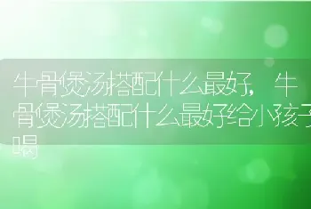 牛骨煲汤搭配什么最好，牛骨煲汤搭配什么最好给小孩子喝