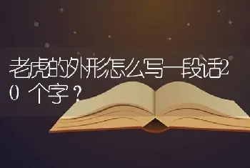 老虎的外形怎么写一段话20个字？