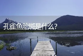 孔雀鱼胎斑是什么？