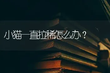 英短矮脚和长脚区别？