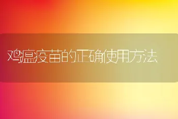 鸡瘟疫苗的正确使用方法