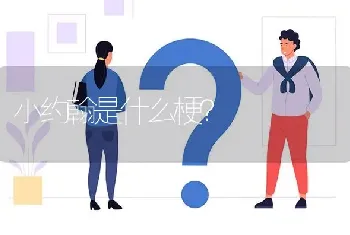 小约翰是什么梗？