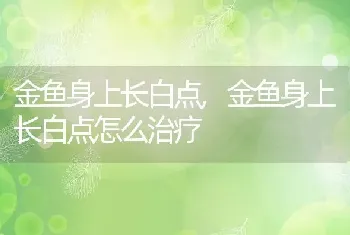 金鱼身上长白点，金鱼身上长白点怎么治疗