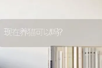 现在养猫可以吗？