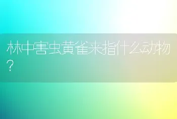 林中害虫黄雀来指什么动物？