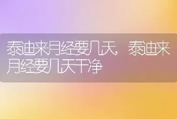 泰迪来月经要几天，泰迪来月经要几天干净