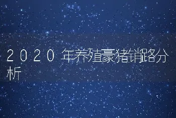 2020年养殖豪猪销路分析