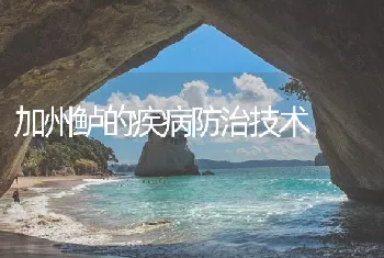 加州鲈的疾病防治技术