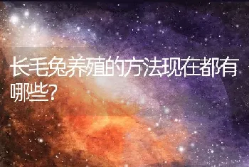 长毛兔养殖的方法现在都有哪些？