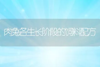 肉兔各生长阶段的饲料配方