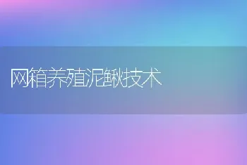 网箱养殖泥鳅技术