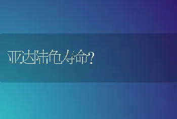 亚达陆龟寿命？