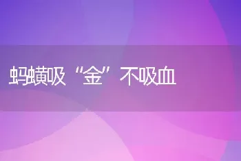 蚂蟥吸“金”不吸血