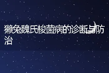 獭兔魏氏梭菌病的诊断与防治