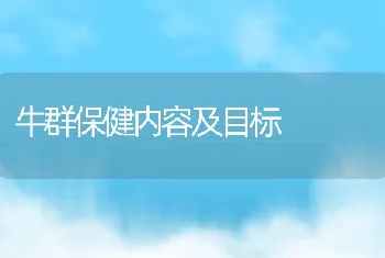 牛群保健内容及目标