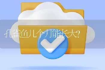 孔雀鱼几个月能长大？