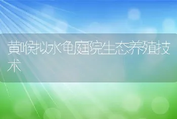 黄喉拟水龟庭院生态养殖技术