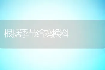 根据季节给鸡换料