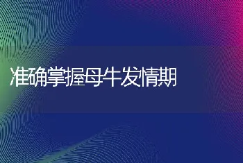 准确掌握母牛发情期