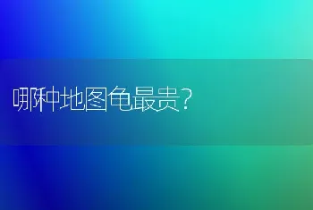 怎么给巴西龟群名字？