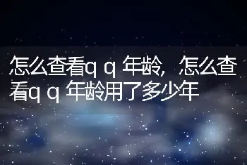 怎么查看qq年龄，怎么查看qq年龄用了多少年