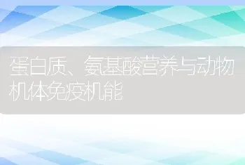 蛋白质、氨基酸营养与动物机体免疫机能