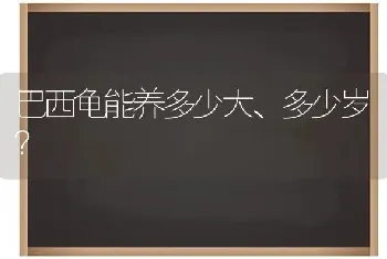 巴西龟能养多少大、多少岁？