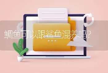 鲷鱼可以跟鲨鱼混养吗？