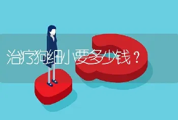 治疗狗细小要多少钱？