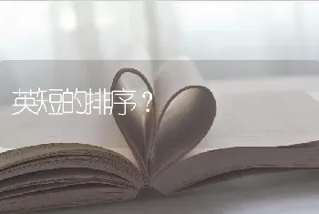 英短的排序？