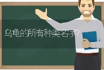 乌龟的所有种类名字？