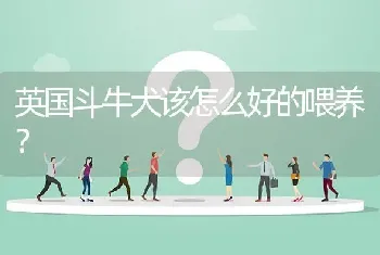 英国斗牛犬该怎么好的喂养？