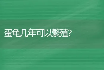 蛋龟几年可以繁殖？