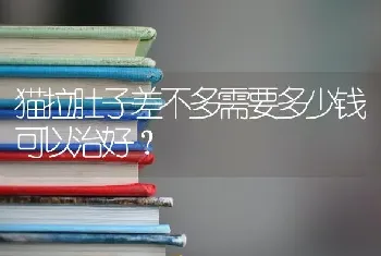 猫拉肚子差不多需要多少钱可以治好？