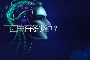 巴西龟有多少种？