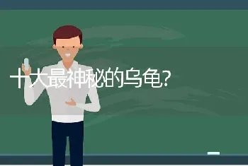 十大最神秘的乌龟？