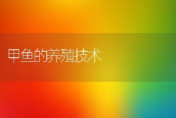 甲鱼的养殖技术