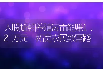 入股蚯蚓养殖每亩能赚1.2万元 拓宽农民致富路