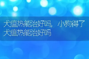 犬瘟热能治好吗，小狗得了犬瘟热能治好吗