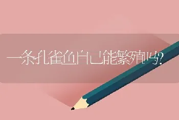 一条孔雀鱼自己能繁殖吗？