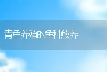 青鱼养殖的鱼种放养