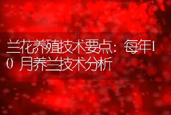 什么是饲料、预混料、浓缩料、全价料