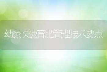 幼兔快速育肥管理技术要点