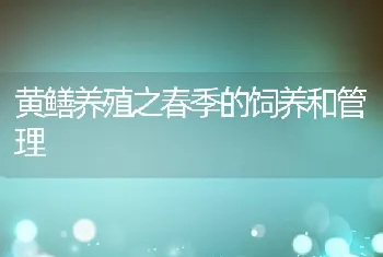 黄鳝养殖之春季的饲养和管理