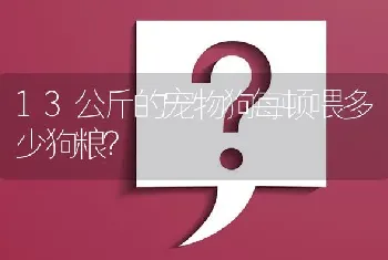 13公斤的宠物狗每顿喂多少狗粮？