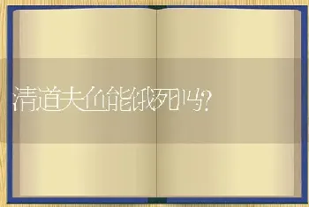 清道夫鱼能饿死吗？